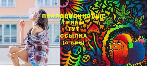 кристаллы Богородицк