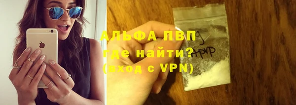 spice Богородск