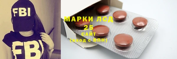 spice Богородск