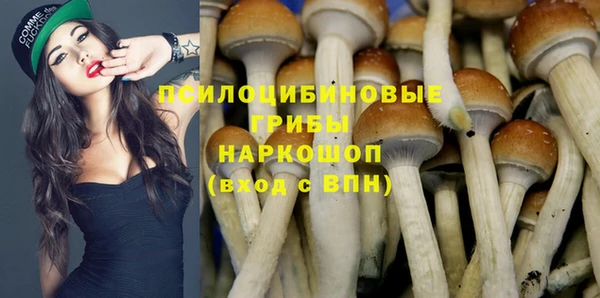 кристаллы Богородицк