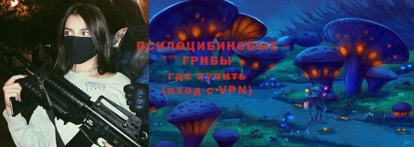 spice Богородск