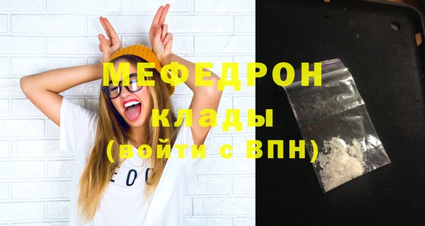 spice Богородск