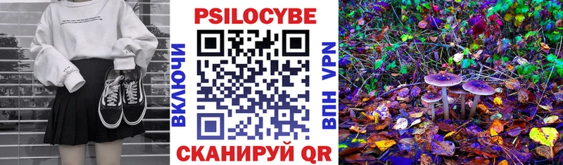 Галлюциногенные грибы GOLDEN TEACHER  Йошкар-Ола 